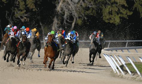 Top Horse Race Betting Sites in India: Legal and Trusted.